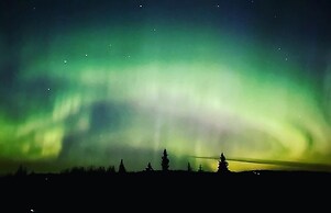 Green Timbers Lodge Redwood Cabin