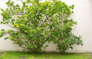 Casa Avila by Vilvey Turismo