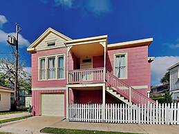 The Vintage Sea Turtle