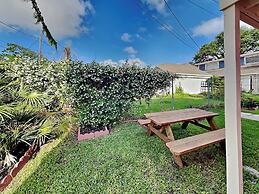 The Vintage Sea Turtle