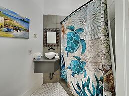 The Vintage Sea Turtle