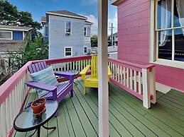 The Vintage Sea Turtle