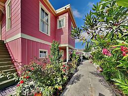 The Vintage Sea Turtle