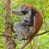 Menai Bay Beach Bungalows