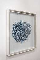 3000sqft House 8beds 3bath Pool Jacuzzi Bbqj