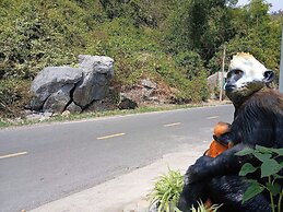 Catba Papillon Garden Bungalow & Resort