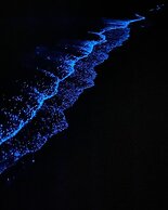 Catba Papillon Garden Bungalow & Resort