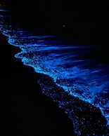 Catba Papillon Garden Bungalow & Resort