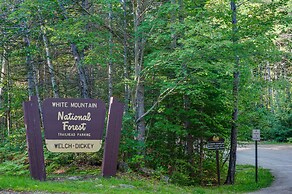 Charming Thornton Escape w/ Sauna + Gazebo!