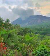 Volcano Island paradise