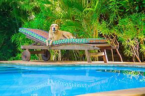 Charming 1-bed Cottage in Diani Beach 10min to bea