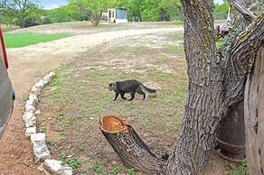 Outlaw Love 1 Bedroom Cabin by Redawning