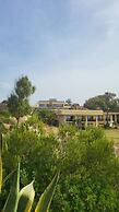Foz Club - Algarve