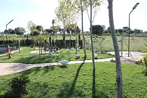 COMPLEJO RURAL LA PALOMA