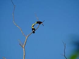 Alta Vista Villas Casas Vacacionales