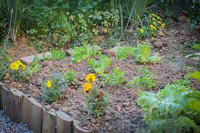 Chale Sol da Montanha em Termas Gravatal