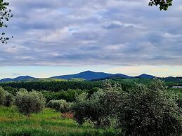 Poggio La Buca - Agriturismo