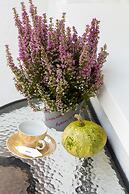 Heart of Kolobrzeg Katedralna by Renters