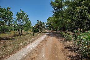 3600 Al Giardino Dell`eden by Barbarhouse