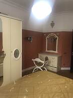 Stylish and new apartments