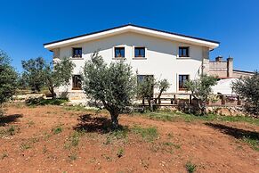 3421 Sikalindee - Casette PP by Barbarhouse