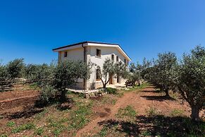 3421 Sikalindee - Casette PP by Barbarhouse