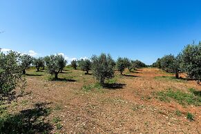 3422 Sikalindee - Casette PT by Barbarhouse