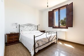 3422 Sikalindee - Casette PT by Barbarhouse