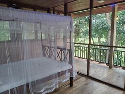 Green Herbal Ayurvedic Eco-Chalets