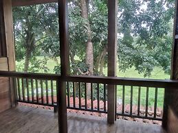 Green Herbal Ayurvedic Eco-Chalets