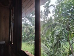 Green Herbal Ayurvedic Eco-Chalets