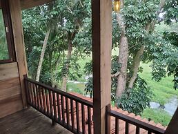 Green Herbal Ayurvedic Eco-Chalets