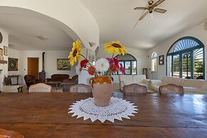 3593 Casina Cazzato by Barbarhouse