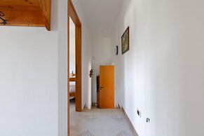 3593 Casina Cazzato by Barbarhouse