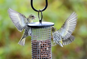 Lochview Guest House