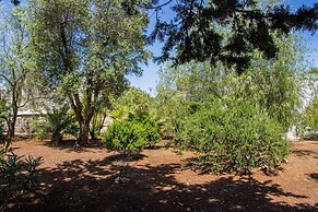 3598 Trullo Yoram by Perle di Puglia