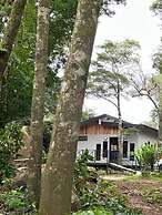 Cabañas Roca Verde Monteverde