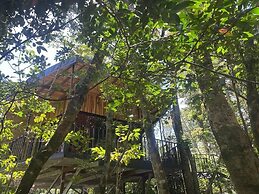 Cabañas Roca Verde Monteverde