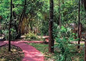 El Leñador by DOT Cabana