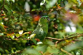 Hotel Campestre Arenal