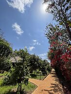 NJIA PANDA TENTED LODGE AND CAMPSITE