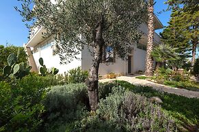 3404 B&B Le Radici Del Salento - Quadrupla Vigna