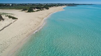 3404 B&B Le Radici Del Salento - Quadrupla Vigna