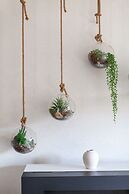 The Ravenscourt Park Collection