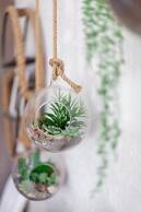 The Ravenscourt Park Collection