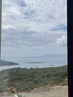 The May Five | Adults only