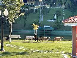 Sítio Renovo Juquitiba