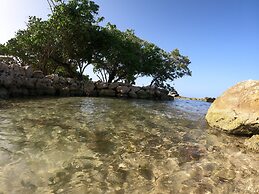 Coral Cove Wellness Resort