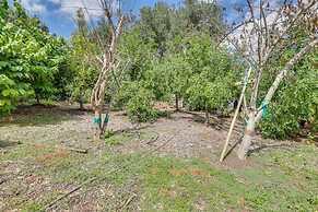 Cozy Escondido Escape Near Hiking & Downtown!