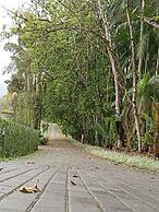 Village du Lac Hotel